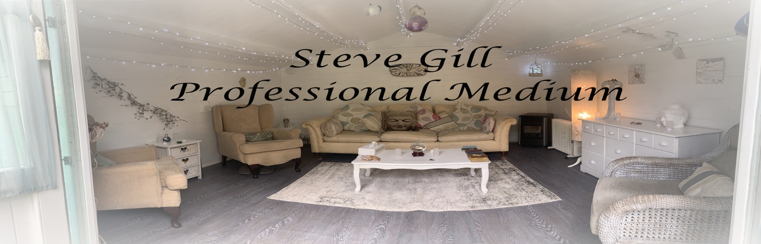 Steve Gill Professional Medium